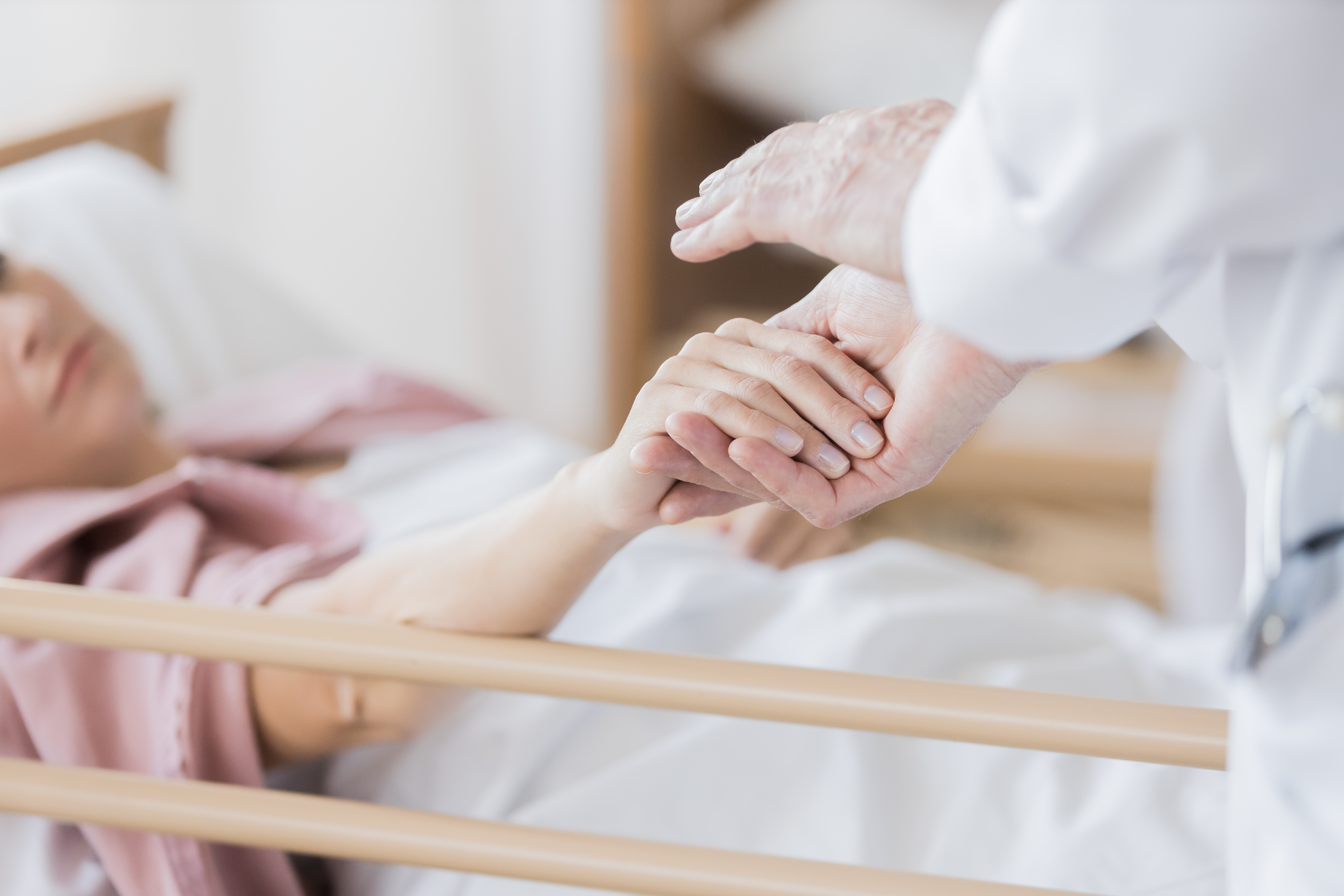 갤러리 이미지 4